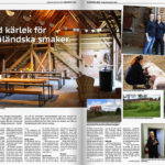rinkaby_magazinet_2015