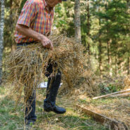 Nu ska det tillverkas mjöl