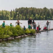 Tävelsåsdagen, då kommer fiskarna