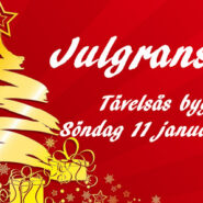 Julgransdansen