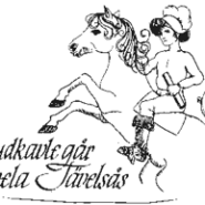 Film och Foto